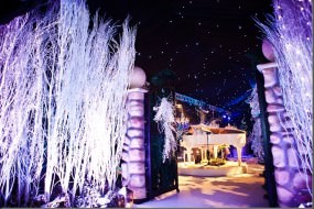 dine corporate parties management