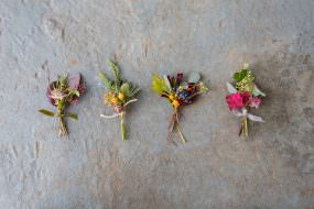 Twisted Willow, studio florist shares interesting insights into the world of studio floristry.