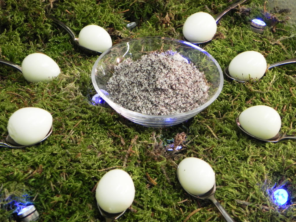 Quails Eggs 