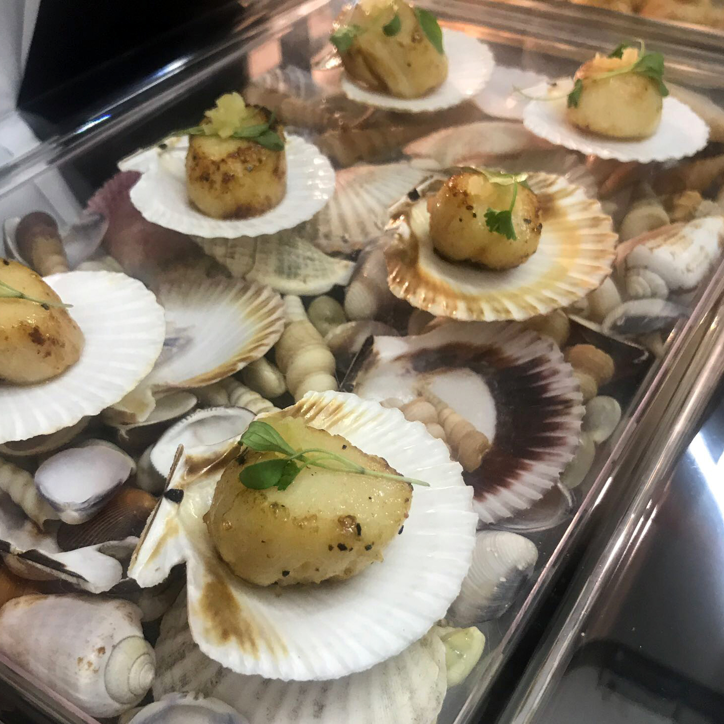 Dine Events Catering | Seared Scallops with pickled ginger, coriander