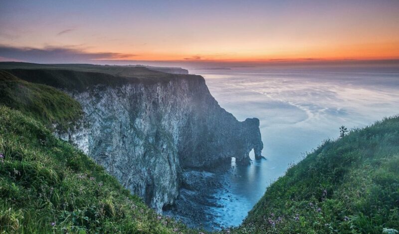 Walks in East Yorkshire | Bempton Cliffs | Credit visiteastyorkshire.co.uk