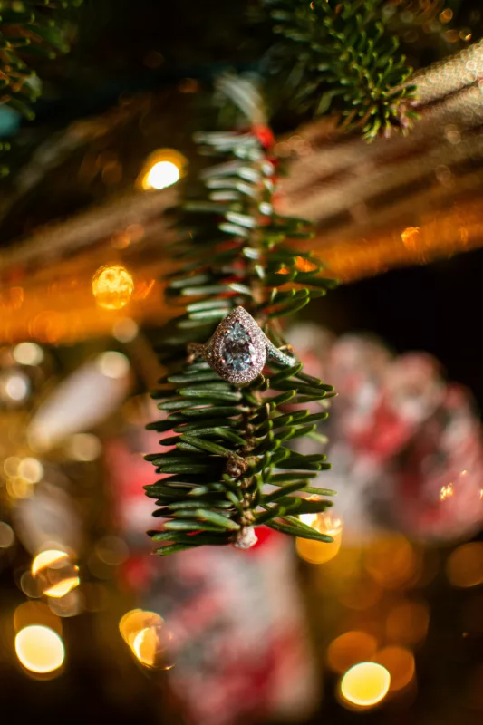 Dine | Wedding Tips and Inspiration | Christmas Proposal Ideas