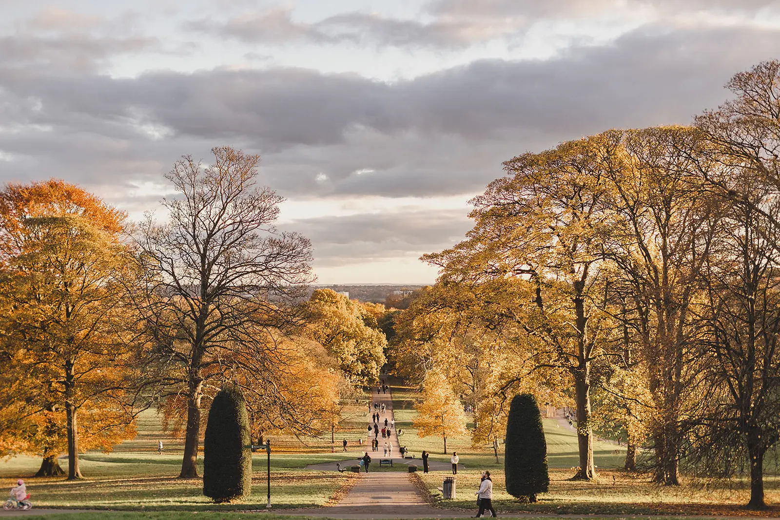 Dine Venues | The Mansion | Roundhay Park Leeds | Leeds Wedding Venue | Colourful Winter wedding in Yorkshire | Chinese wedding