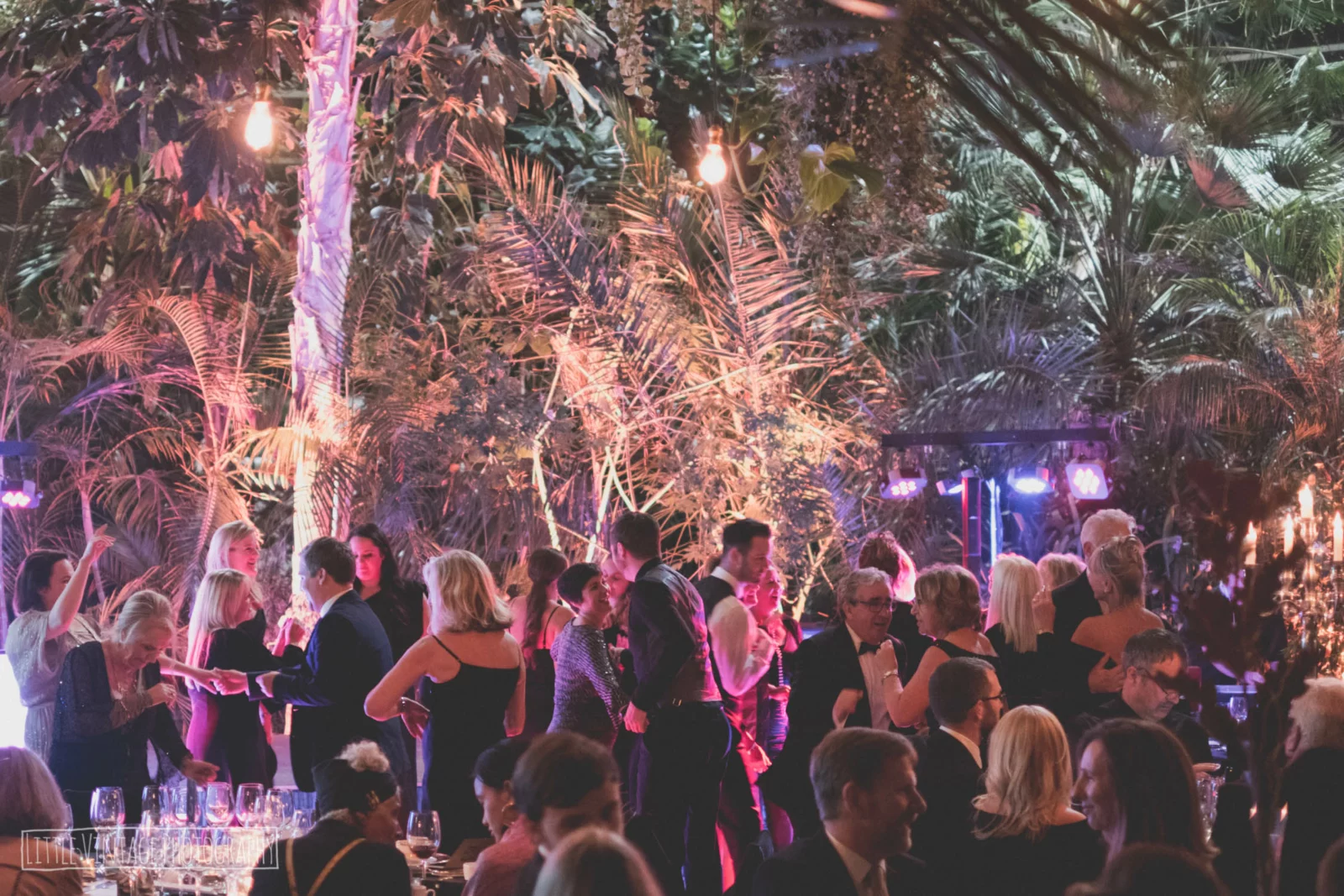 Dine Venues | Sefton Park Palm House | Events and Parties Liverpool