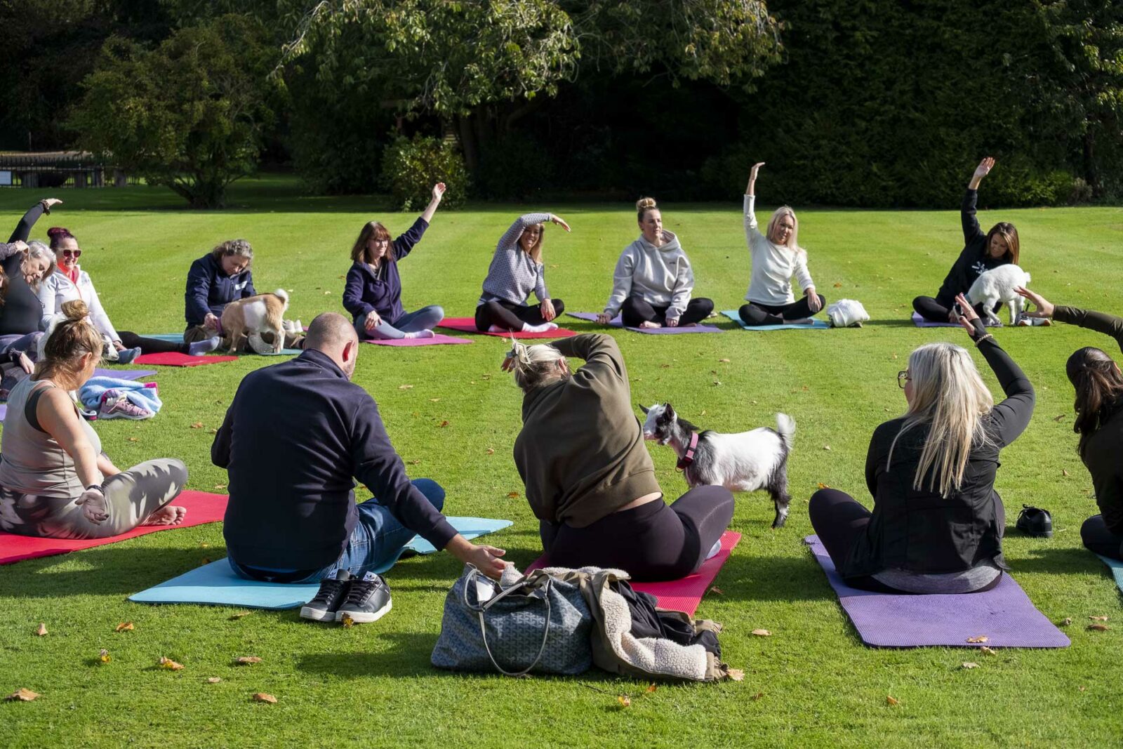 Dine Venues | Rise Hall | Corporate Away Days Yorkshire | Business Retreats Yorkshire | Goat Yoga East Yorkshire