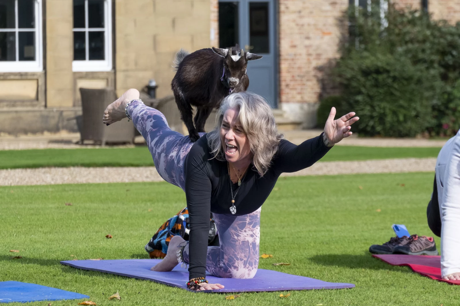 Dine Venues | Rise Hall | Corporate Away Days Yorkshire | Business Retreats Yorkshire | Goat Yoga East Yorkshire